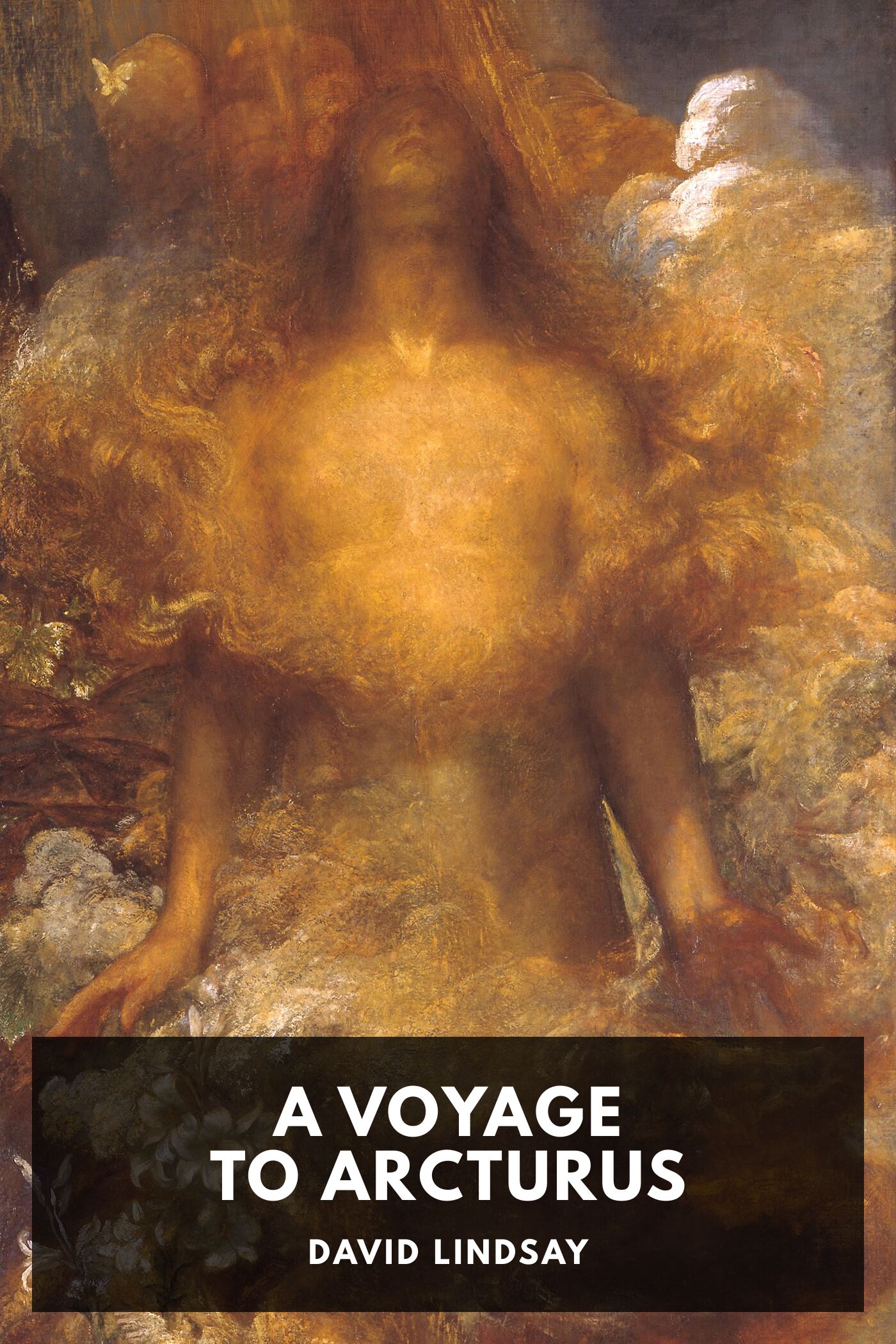 A Voyage to Arcturus